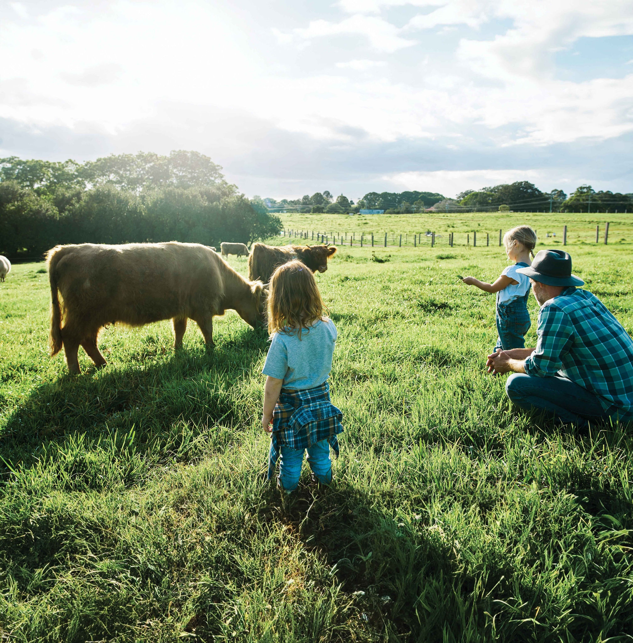 Adult with children in a green field with a brown cow