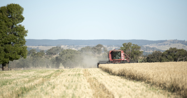 Farmer trimming grass