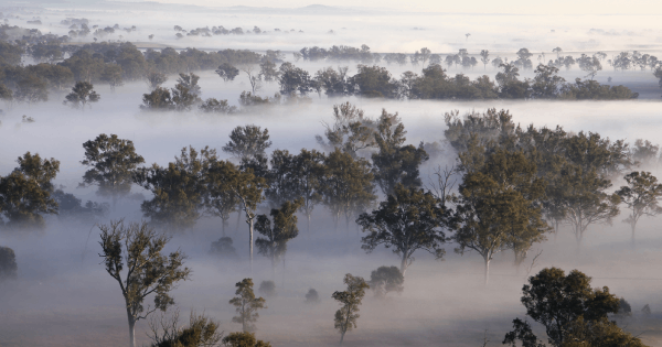 Aerial view of landscape with bushfire smoke drift