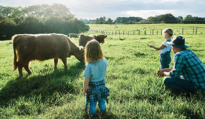 family farm