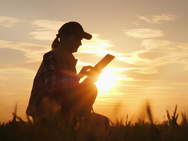 Woman dialing a call in a field at sunset.