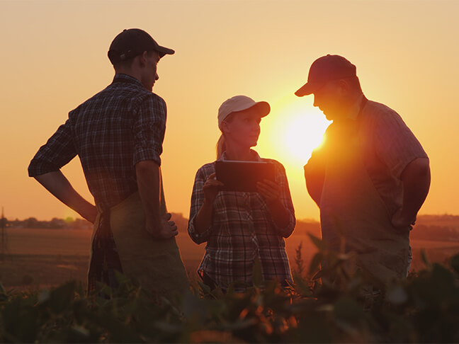 A group of farmers are discussing in the field