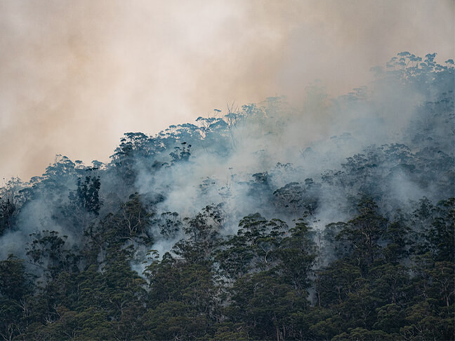 Bush wildfire smoke across hillside